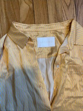 Asceno 100% silk button down shirt